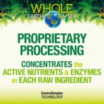 Whole Earth & Sea from Natural Factors, Organic Fermented Protein & Greens, Vegan Whole Food Supplement, Tropical, 1lb 7.3 Oz - Image 6