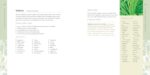 Essential Oils Natural Remedies: The Complete A-Z Reference of Essential Oils for Health and Healing - Image 6