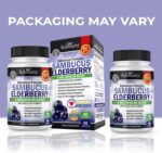 Elderberry with Zinc and Vitamin C for Adults - Immune Support Vitamins for Women and Men Natural Elderberries Black Sambucus Capsules - Immune Defense Multiminerals Supplement, Gluten-Free, 60 Ct - Image 2