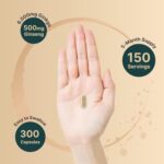 NatureBell Ginkgo Biloba 6,000mg with Panax Ginseng 500mg Per Serving | 300 Capsules – Max Strength Ginko Biloba Extract Supplements - Promotes Memory, Focus, and Brain Health - Image 4