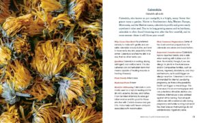 Herbal Medicine for Modern Life: Traditional Folk Remedies for Everyday Health and Well-Being - Image 5