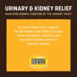 Earth Animal Herbal Remedies | Urinary and Kidney Relief | 2 fl oz - Image 7
