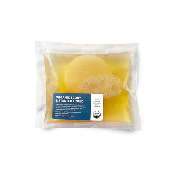 Organic SCOBY Kombucha Starter Kit with Live Culture for Brewing Kombucha Tea - Urban Kitchen