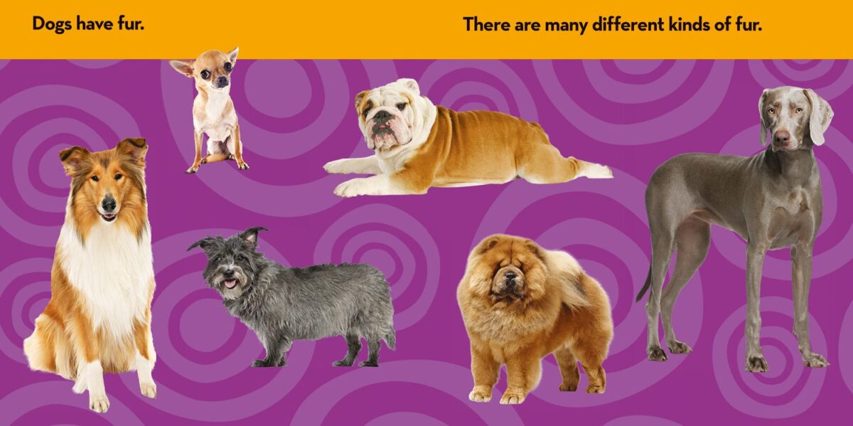 National Geographic Kids Look and Learn: Dogs (Look & Learn) - Image 2