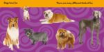 National Geographic Kids Look and Learn: Dogs (Look & Learn) - Image 2