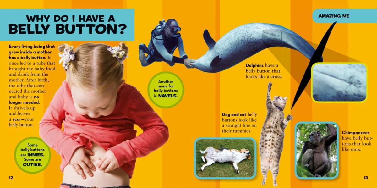 National Geographic Little Kids First Big Book of Why (National Geographic Little Kids First Big Books) - Image 2