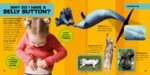 National Geographic Little Kids First Big Book of Why (National Geographic Little Kids First Big Books) - Image 2