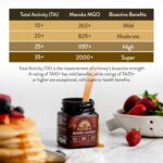 KOORA Marri Honey TA 25+ (MGO 1197+ Manuka Honey Rating Equivalent), Raw Medical Grade for Daily Health & Immune Support, from the Ancient Forests of Western Australia, 8.8 oz - Image 5