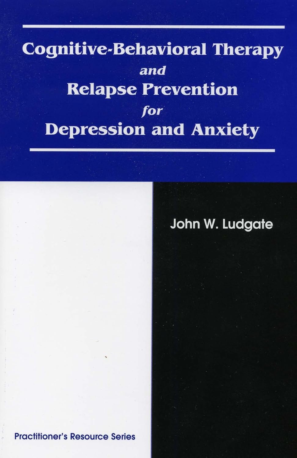 71te7sYhtiL._SL1500_.jpg Cognitive-Behavioral Therapy and Relapse Prevention for Depression and Anxiety - Image 1