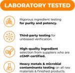 Turmeric Curcumin with Black Pepper and Ginkgo Biloba supplements. Natural Turmeric Supplement with Organic Tumeric to aid Joint Health, Brain Clarity, Focus, Memory, and Concentration. Vegan. 60 Caps - Image 7