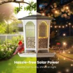 2 Pack Solar Bird Feeders for Outdoors Hanging - Attract Wild Birds & Cardinals, Elegant Minimalist Design, Garden Décor, Unique Gift - Image 5