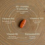 New Chapter Women's Multivitamin 50 Plus for Cellular Energy, Heart & Immune Support with 20+ Nutrients + Astaxanthin - Every Woman's One Daily 55+, Gentle on The Stomach, 72 Count - Image 3