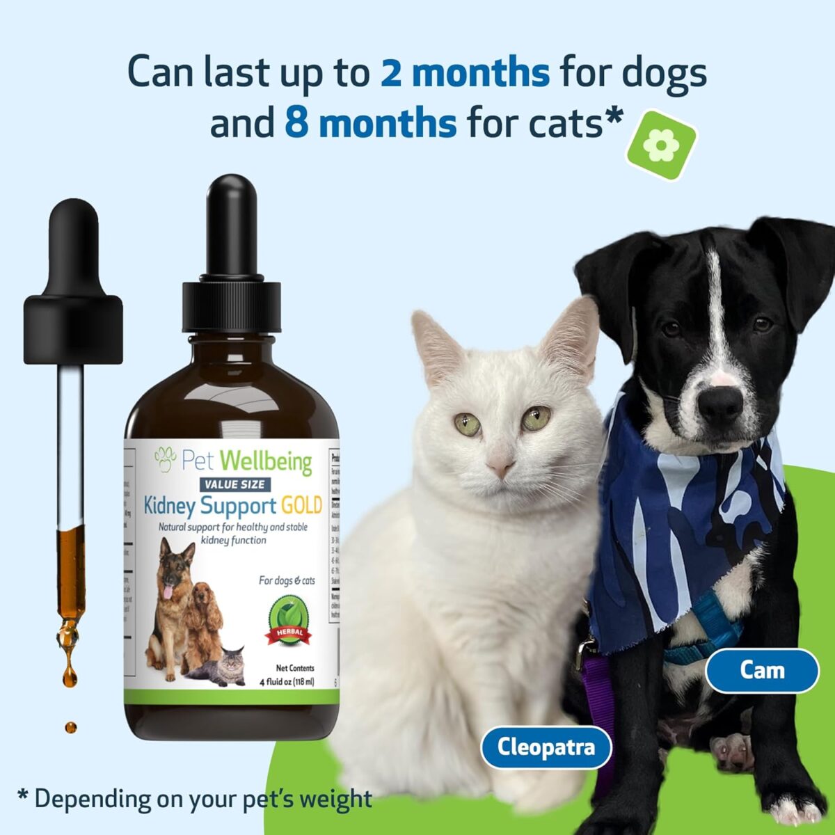 Pet Wellbeing Kidney Support Gold for Dogs - Supports Healthy Kidney Function, Fluid Balance, Energy Levels, Rehmannia, Dong Quai - Veterinarian-Formulated Herbal Supplement 4 oz (118 ml) - Image 7