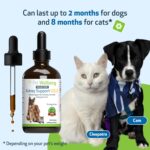 Pet Wellbeing Kidney Support Gold for Dogs - Supports Healthy Kidney Function, Fluid Balance, Energy Levels, Rehmannia, Dong Quai - Veterinarian-Formulated Herbal Supplement 4 oz (118 ml) - Image 7