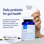 Essential Stacks Saccharomyces Boulardii Probiotics (Non-GMO & Gluten Free) - 5 Billion CFUs for Gut Health (60 Capsules) - Image 2