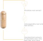 Integrative Therapeutics HPA Adapt - Supports a Healthy Stress Response* - Positive Outlook Supplement with Ashwagandha, Maca, Holy Basil & Rhodiola - Gluten-Free & Soy-Free - 120 Vegan Capsules - Image 3