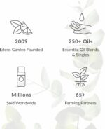 Edens Garden Frankincense- Serrata Essential Oil- 100% Pure Premium Grade, Undiluted, Natural, Therapeutic, Aromatherapy, The Best for Diffuser, Skin, Face, Hair 10 ml (.33 fl oz) - Image 6
