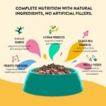 Daily Wellness Supplements for Dogs | Boosts Immune System Support and Digestive Gut Health for Dogs and Puppies | All Natural Ingredients Tasty Kibble Dog Food Topper | 21 Count Pack - Image 3
