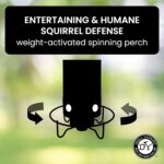 Droll Yankees YF-M Yankee Flipper Squirrel-Proof Wild Bird Feeder With Weight Activated Rotating Perch - 5Lbs Seed Capacity - Image 3