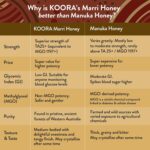 KOORA Marri Honey TA 25+ (MGO 1197+ Manuka Honey Rating Equivalent), Raw Medical Grade for Daily Health & Immune Support, from the Ancient Forests of Western Australia, 8.8 oz - Image 4