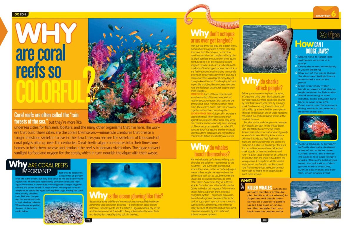 National Geographic Kids Why?: Over 1,111 Answers to Everything - Image 7