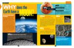 National Geographic Kids Why?: Over 1,111 Answers to Everything - Image 4