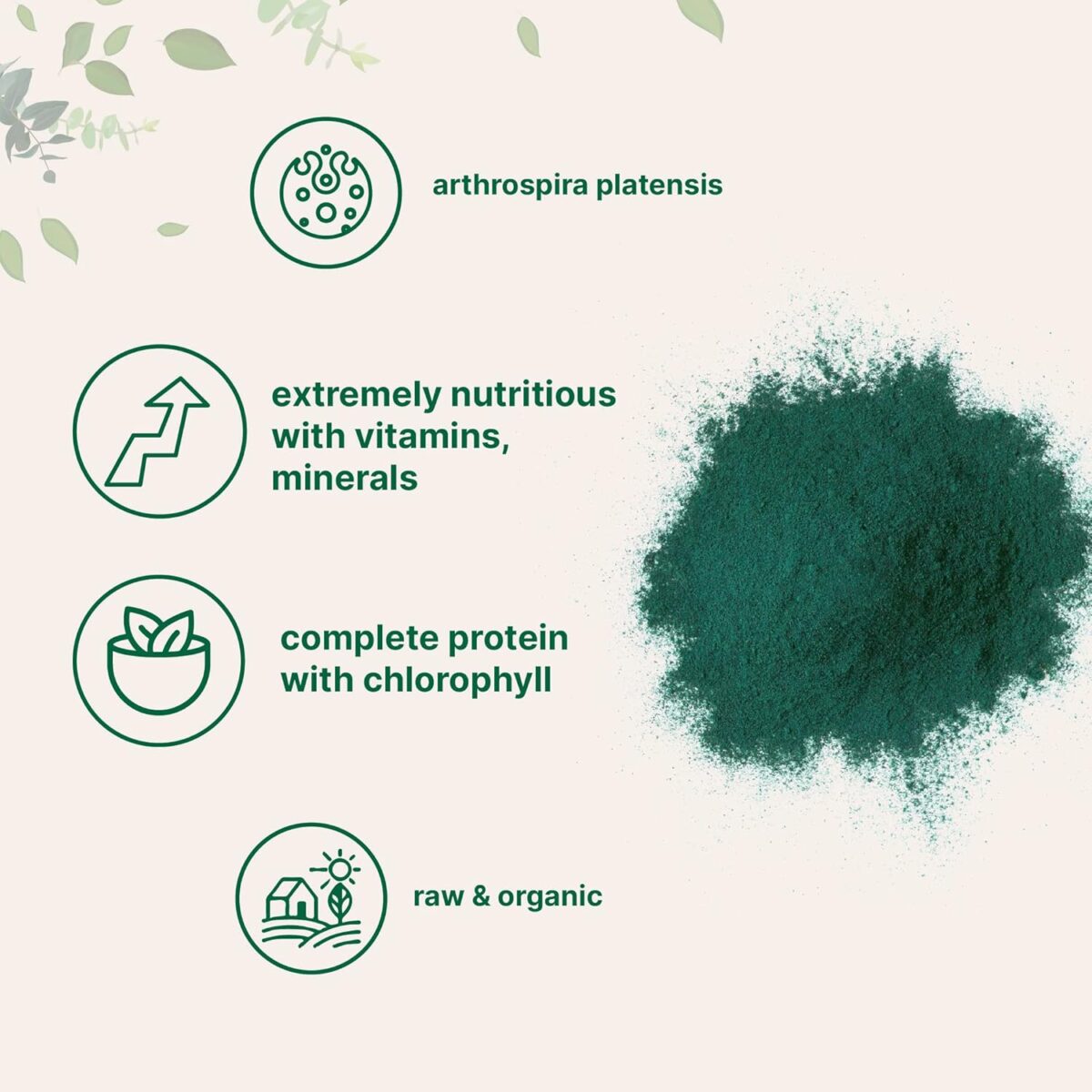 Micro Ingredients Organic Spirulina Powder, 16 Ounce, Raw Spirulina (Arthrospira Platensis), The Richest Sources of 70% Vegan Protein, Containers Minerals, Vitamins, Non-GMO & Non-Irradiation - Image 4