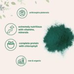 Micro Ingredients Organic Spirulina Powder, 16 Ounce, Raw Spirulina (Arthrospira Platensis), The Richest Sources of 70% Vegan Protein, Containers Minerals, Vitamins, Non-GMO & Non-Irradiation - Image 4