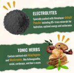 Super Greens Powder Superfood Supplement + Electrolytes & Tonic Herbs | Organic Greens, Adaptogens, Shilajit, Antioxidants, Prebiotic & Probiotic & Postbiotic | for Gut, Energy & Immune | 30 Servings - Image 5