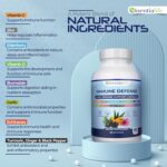 Immune Support Supplement 10 in 1 Elderberry, Echinacea, Vitamin D, Vitamin C 1000mg & Zinc Supplement - Take Charge of Your Health with Immune Booster for Adults - 60 Vitamins Capsules - Image 3