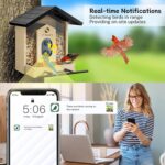 Bird Feeder with Camera, Upgraded 1.5L Smart Bird Feeder with AI Identify for 10000 Plus Bird Species, Auto Capture Bird & Real-time Notifications, Ideal Gift for Bird Lovers (Iron Roof) - Image 3