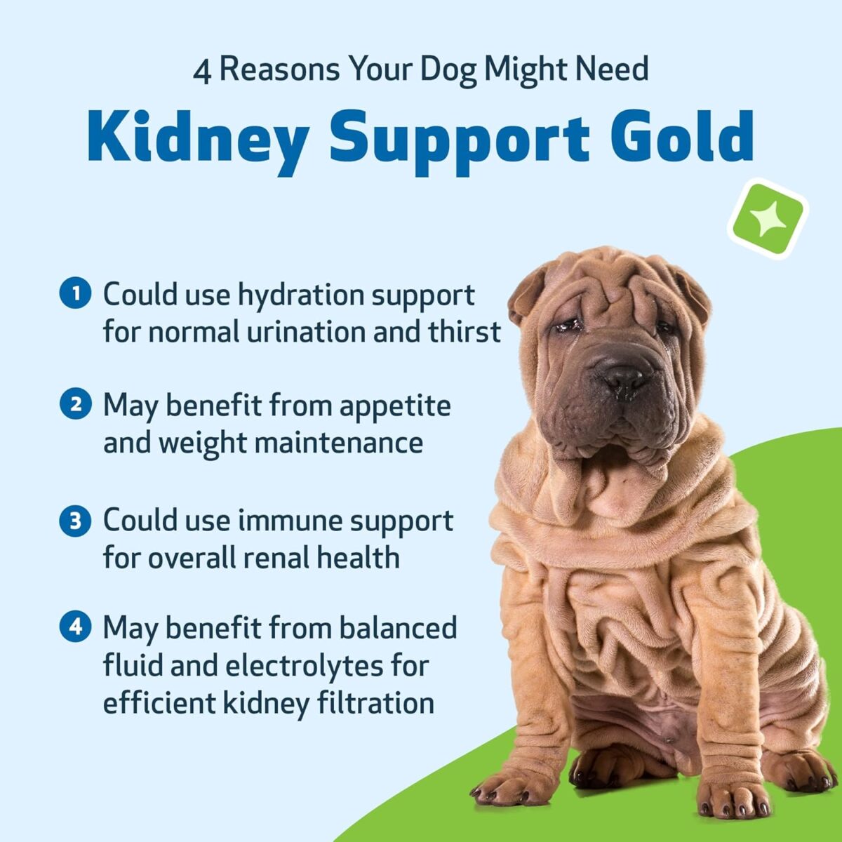 Pet Wellbeing Kidney Support Gold for Dogs - Supports Healthy Kidney Function, Fluid Balance, Energy Levels, Rehmannia, Dong Quai - Veterinarian-Formulated Herbal Supplement 4 oz (118 ml) - Image 3