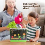 Root Viewer Kit for Kids - Easter Gifts - Grow Your Own Plant for Boys & Girls - Science STEM Toy & Craft Growing Kits for Ages 4-8 Birthday Gifts for Boy, Girl 4, 5, 6, 7, 8, Year Old - Gardening Toy - Image 6