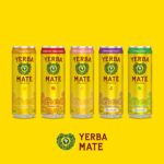 Guayakí Yerba Mate, Organic Sparkling Energy Drink Alternative, Cranberry Pomegranate, 80mg Natural Plant Based Caffeine, Smooth Energy & Focus, Carbonated, 12 Oz (Pack of 12) (Packaging May Vary) - Image 7