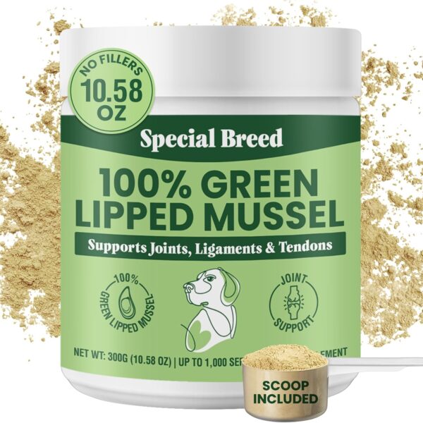 Green Lipped Mussel Powder for Dogs & Cats - 100% New Zealand Green Lipped Mussels - Natural Hip & Joint Supplement for Joints, Tendons, Ligaments, Muscles - 300 Grams - Up to 1,000 Servings