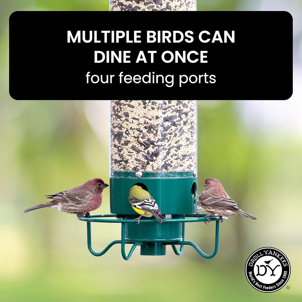 Droll Yankees YF-M Yankee Flipper Squirrel-Proof Wild Bird Feeder With Weight Activated Rotating Perch - 5Lbs Seed Capacity - Image 6