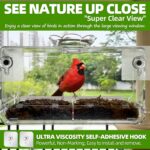 Window Bird Feeder with Non-Marking Self-Adhesive Hooks, Clear and Transparent, Outdoor Wild Bird Watching Gift, Garden Decor - Image 2