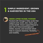 Super Snouts Joint Power 100% Green Lipped Mussels for Dogs & Cats - Dog Joint Supplement Powder Supports Joints, Tendons, Ligaments (2.64 oz) - Image 4