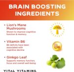 Vital Vitamins Nootropic Brain Supplement Plus - for Memory, Focus, Concentration, Neuro Energy, Clarity - with Lion's Mane Mushrooms - 60 Capsules - Image 3