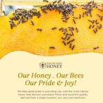 100% Raw Unfiltered Honey, Bulk by Pure Southern Honey [ 3 lb] - Authentic, USA - Made Gallberry Honey - Pure Unheated - Non - GMO, Unsweetened, Sugar - Free, USA Made - Pour Jug With Flip Top (3 lb) - Image 5
