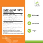 Terry Naturally Adaptra - Supplement to Support Adrenal Health - Ashwagandha Supplement with Rhodiola Rosea Extract - Herbal Supplement to Support Energy & Concentration - 60 Capsules - Image 2
