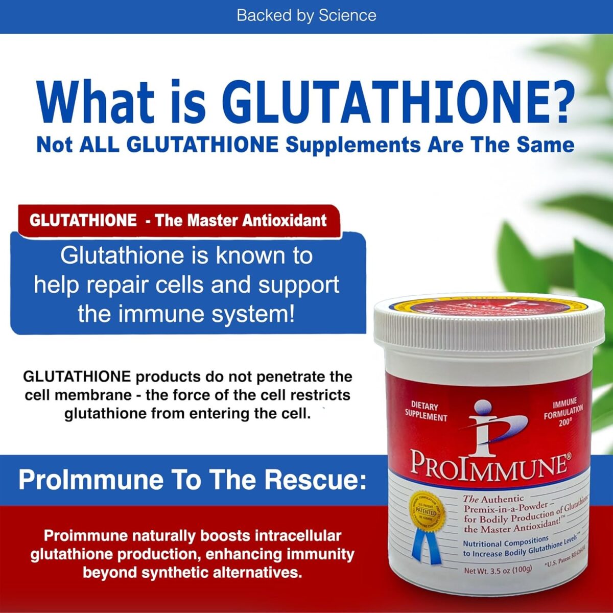 Immune Formulation 200 2 Month Supply of Glutathione, Authentic Pre-Mix in-a-Powder for Bodily Production of Glutathione. Nutritional Compositions to Increase Bodily Glutathione Levels - Image 3