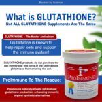 Immune Formulation 200 2 Month Supply of Glutathione, Authentic Pre-Mix in-a-Powder for Bodily Production of Glutathione. Nutritional Compositions to Increase Bodily Glutathione Levels - Image 3