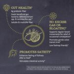 Sunwarrior Fiber Supplement Prebiotic Organic | Vegan Fiber Supplement Plant-Powered Gut Health Booster with Pure Ingredients for Digestive Harmony | Vegan & Non-GMO | 8oz Pouch (30 SRV) Be Well - Image 4