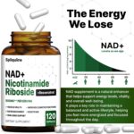 NAD Supplement with Resveratrol, Quercetin & Nicotinamide Riboside for Cellular Energy & Muscle Support, NAD+ Supplement for Men & Women, 120 Count - Image 3