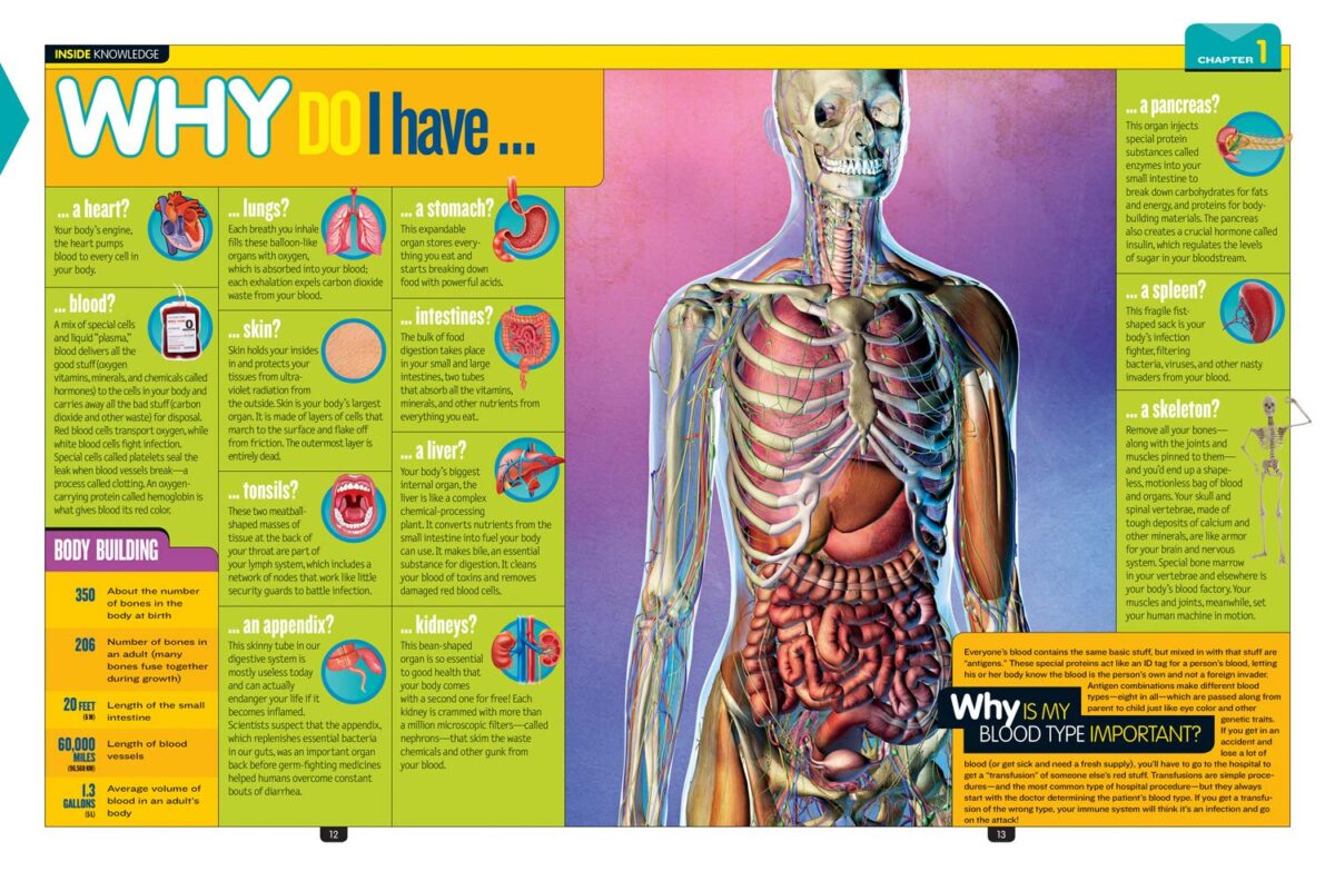 National Geographic Kids Why?: Over 1,111 Answers to Everything - Image 2