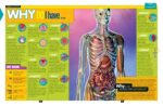 National Geographic Kids Why?: Over 1,111 Answers to Everything - Image 2