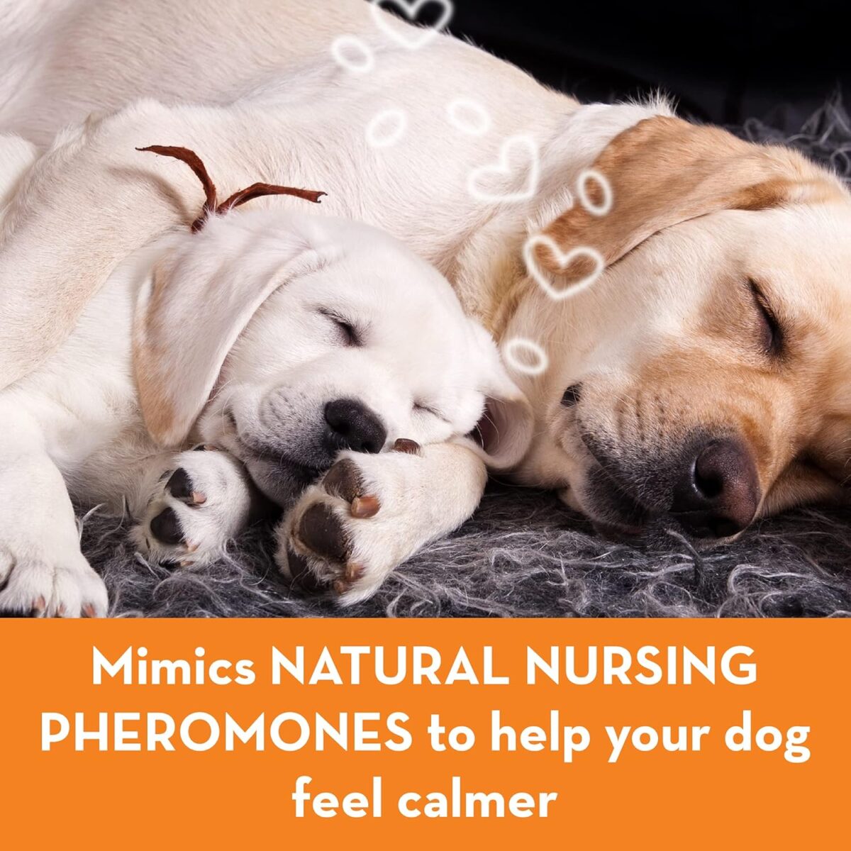 ThunderEase Dog Calming Pheromone Diffuser Kit | Powered by ADAPTIL | Vet Recommended to Relieve Separation Anxiety, Stress Barking & Chewing, and Fear of Fireworks & Thunderstorms (30 Day Supply) - Image 6