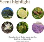 Young Living Calming, Relaxing Essential Oil Blend | 5 ml | Exotic Aroma with Copaiba, Lime, Lavender & Vanilla | Soothing Fragrance for Home, Work, and Personal Use - Image 5