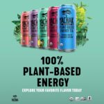 Yachak Yerba Mate Drink, Blackberry, 16 Fl Oz Cans, Pack of 12 - Image 5